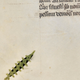 Illustration for article titled When Medieval Scribes Turned Damaged Paper into Clever Art